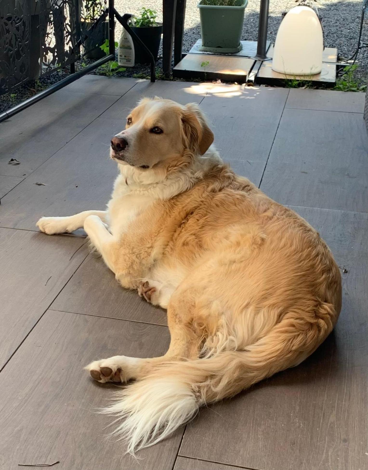 Cookie Home Dolomieux Εξωτερικό φωτογραφία