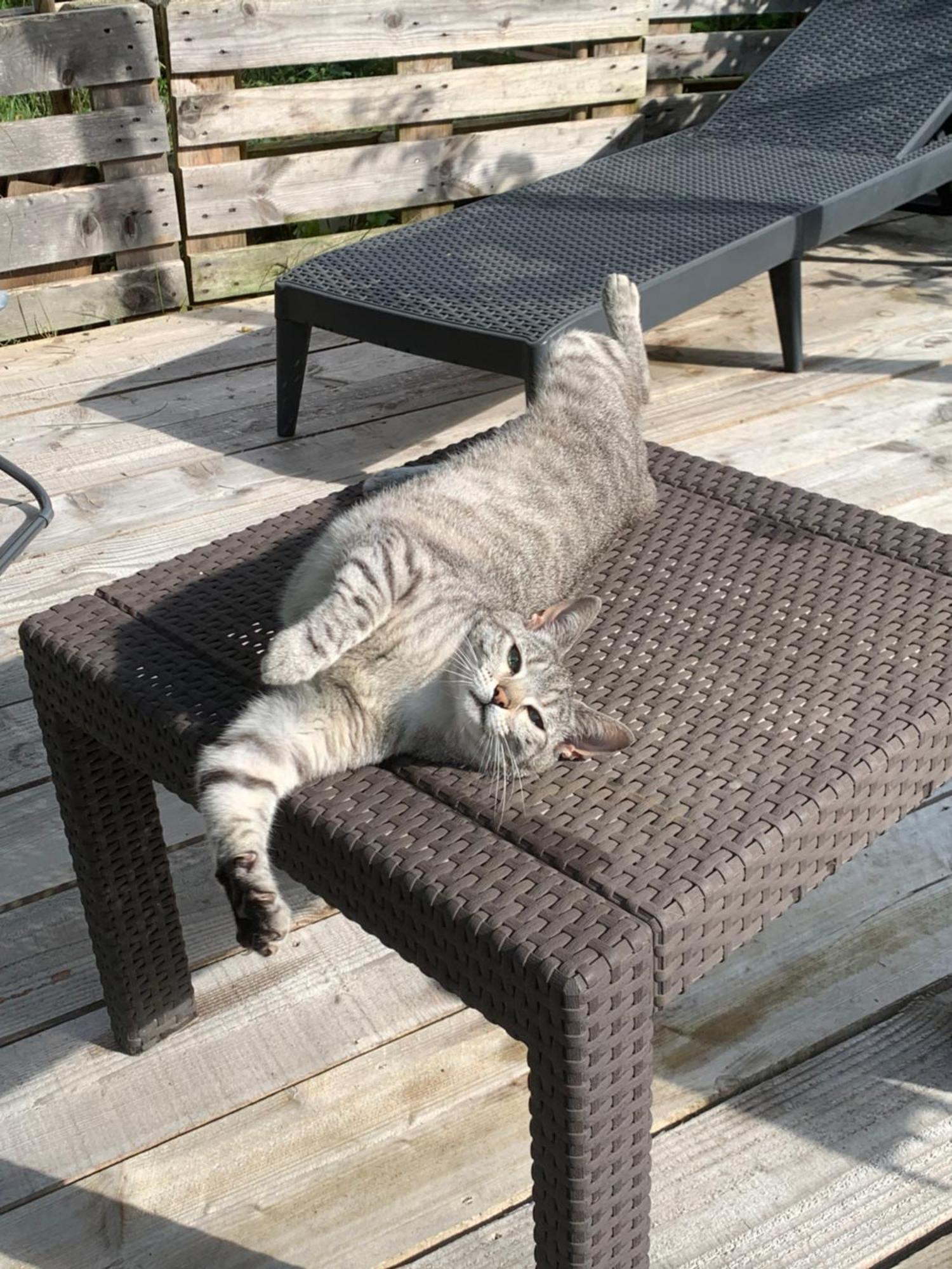 Cookie Home Dolomieux Εξωτερικό φωτογραφία